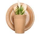 Disposal Cup