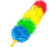 FEATHER BRUSH
